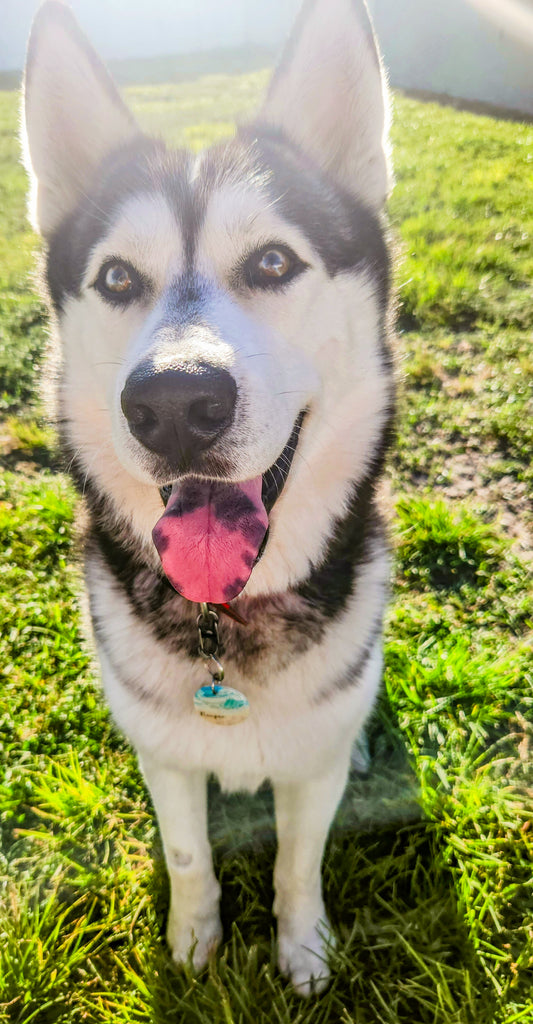 Reaper’s Sandy Steps