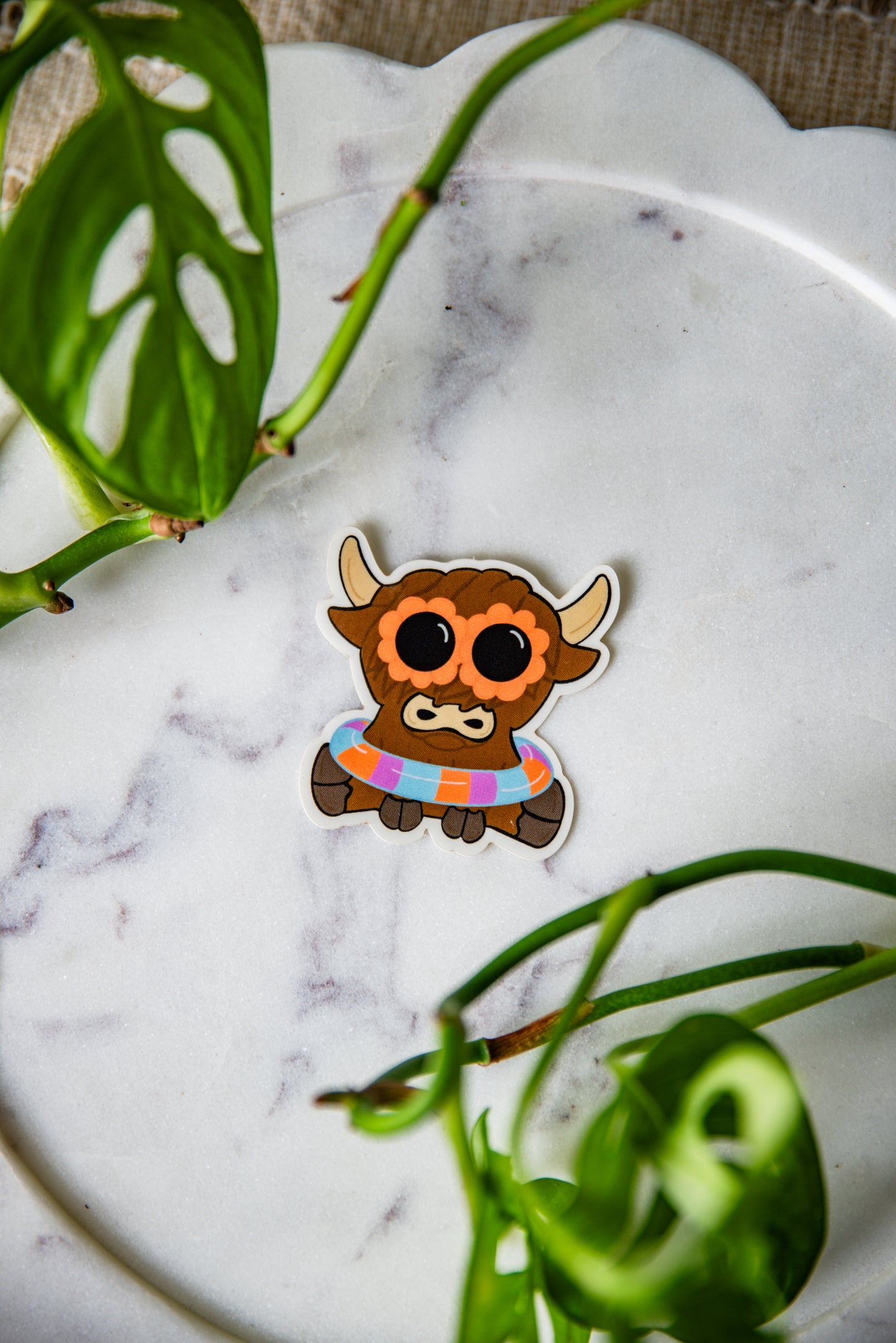 Pool Party Cow