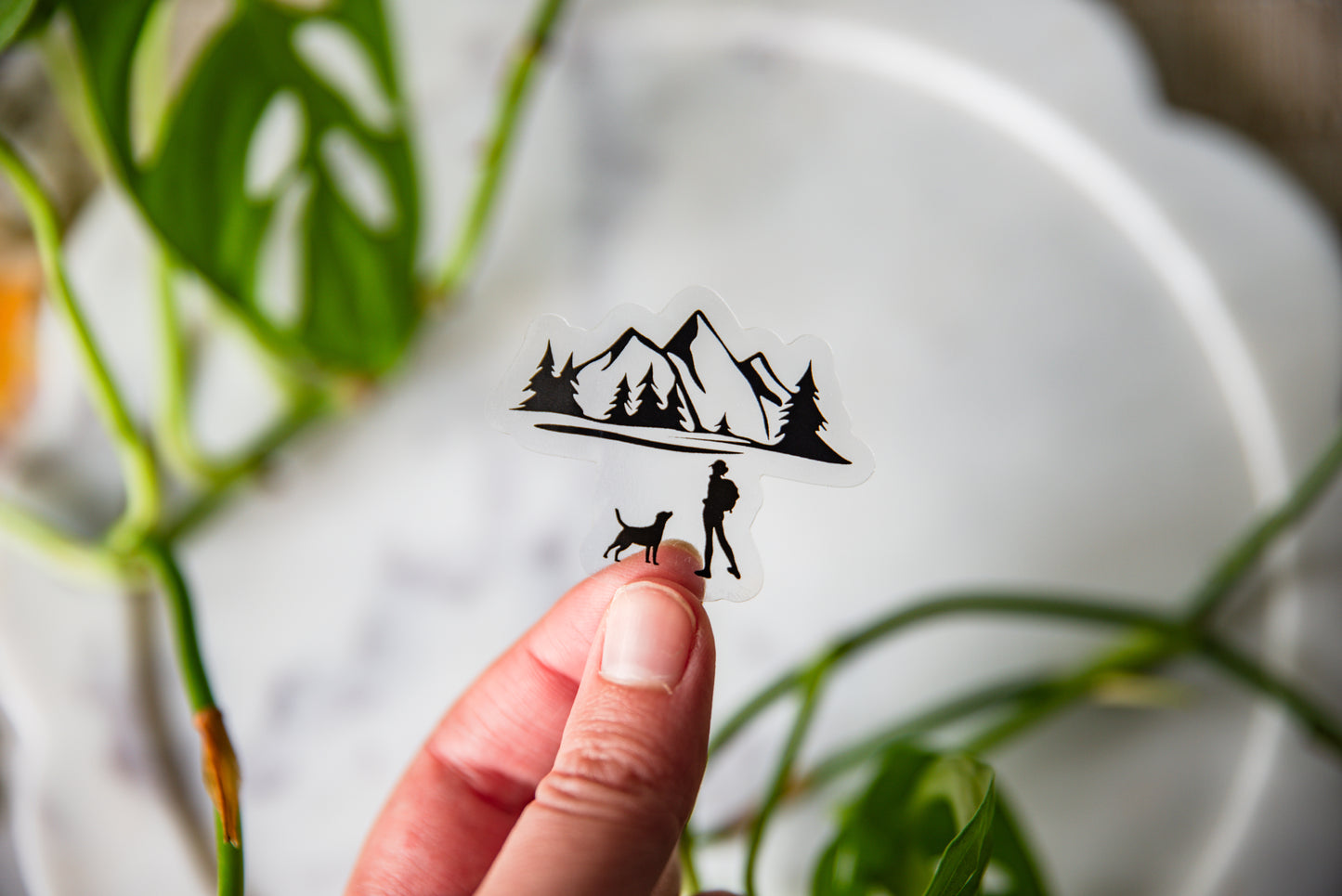 Girl's Best Hiking Buddy Clear Sticker