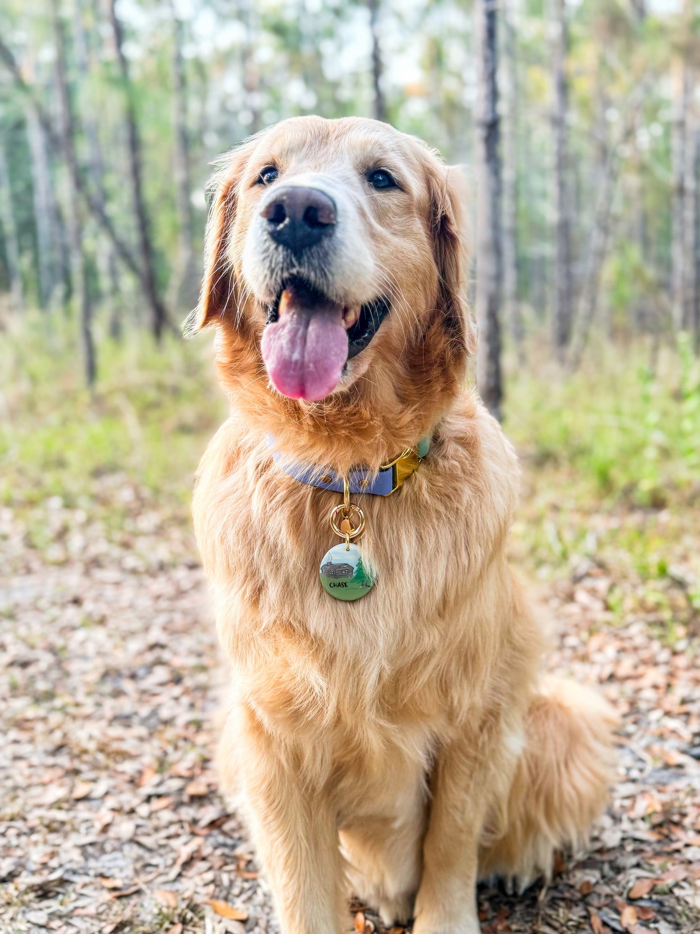 Chase & Cooper’s Cabin Retreat