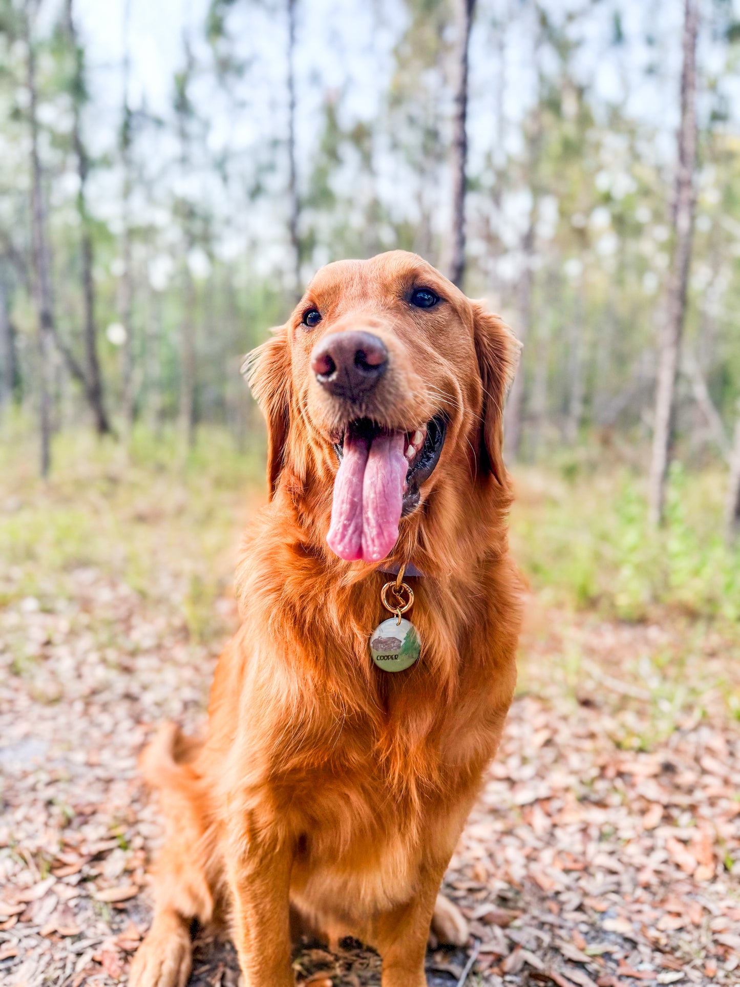 Chase & Cooper’s Cabin Retreat
