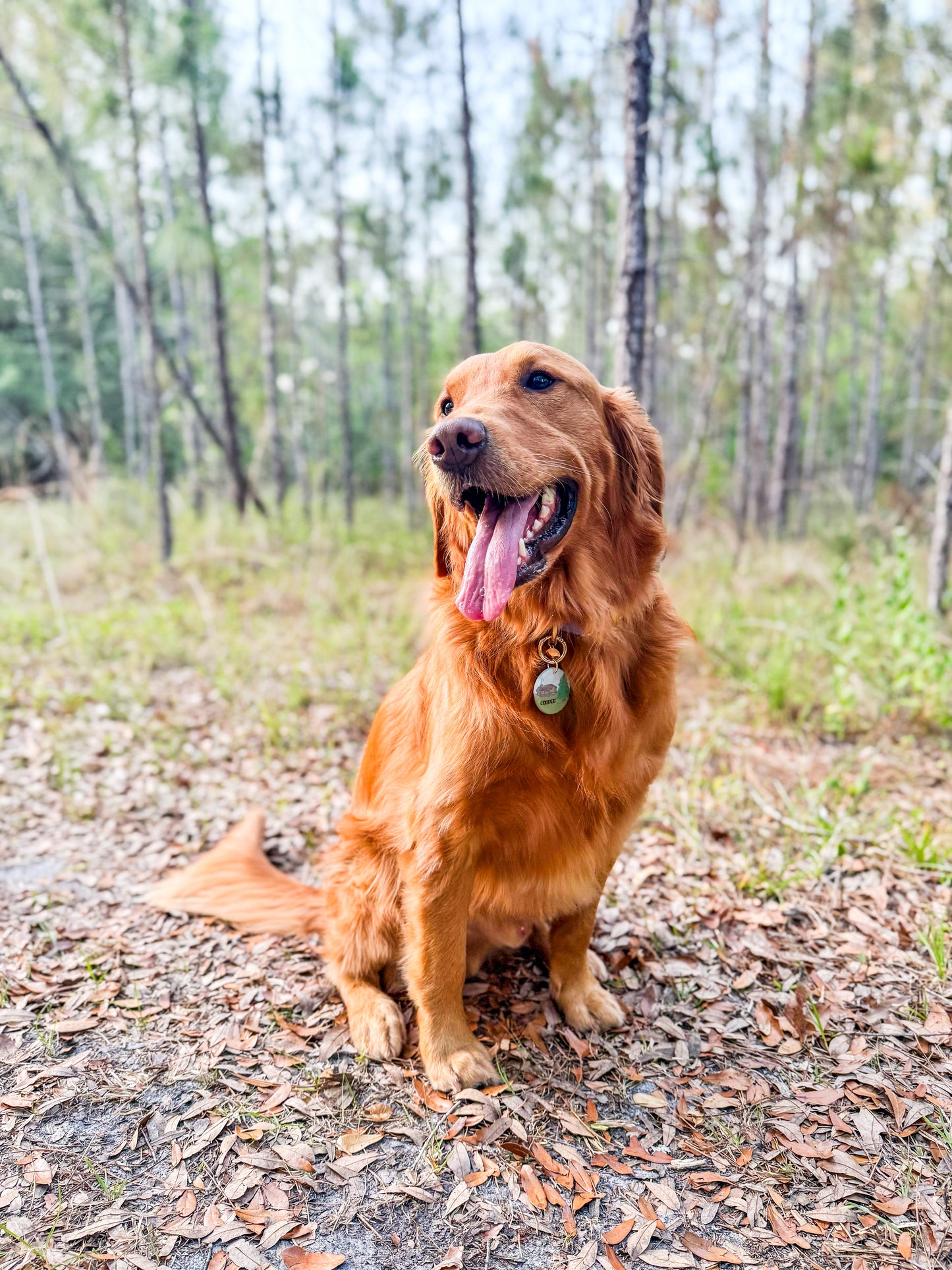 Chase & Cooper’s Cabin Retreat