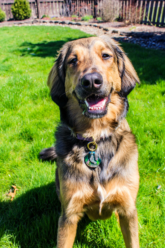 Evie's Manatee Paradise