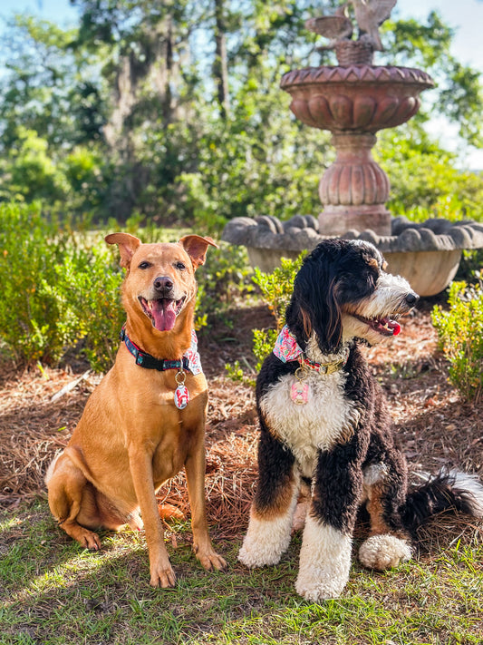 Callie’s Crab Shack