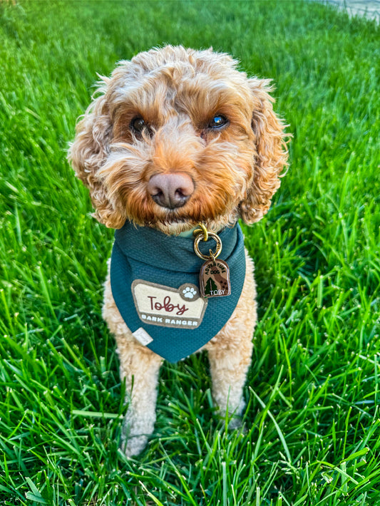 Toby’s Adventure Patch