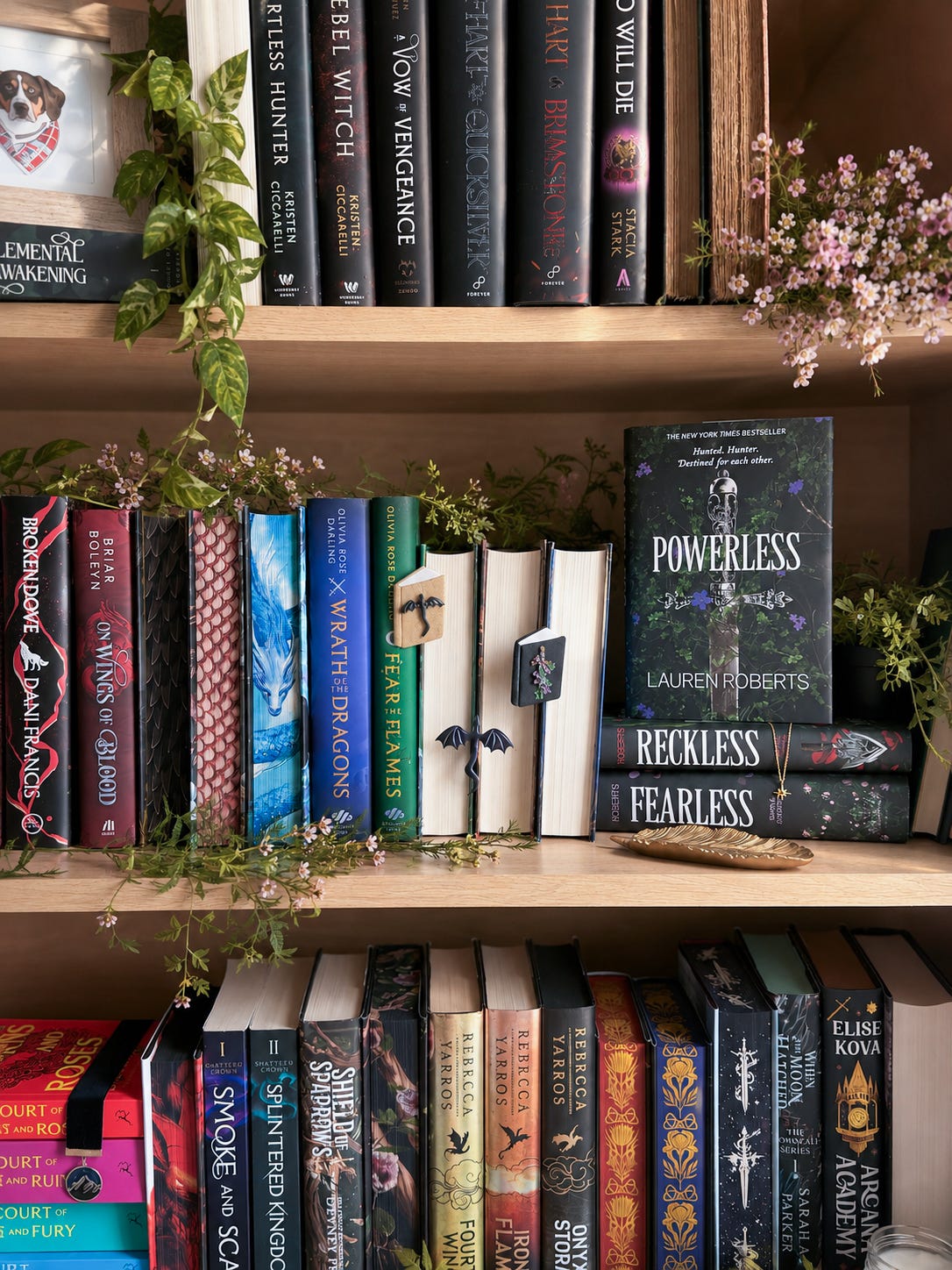 Bookshelf Decorations