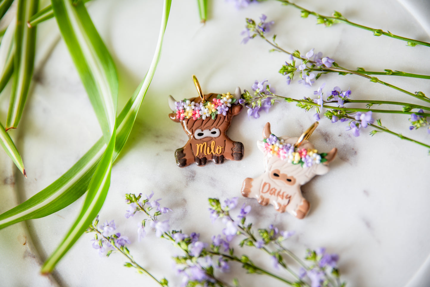 Spring Highland Cow