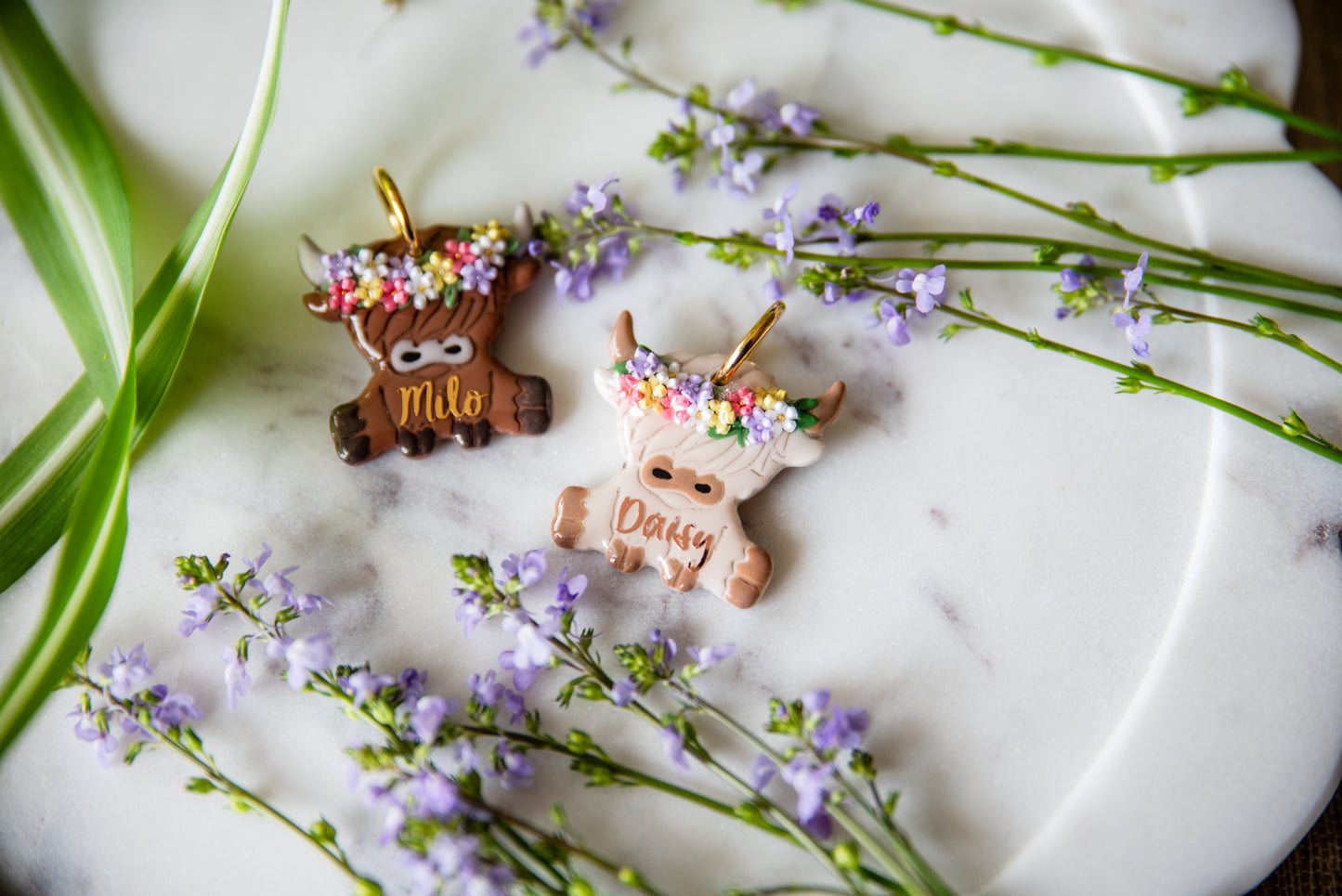 Spring Highland Cow