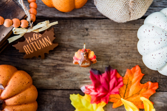 Thanksgiving Turkey