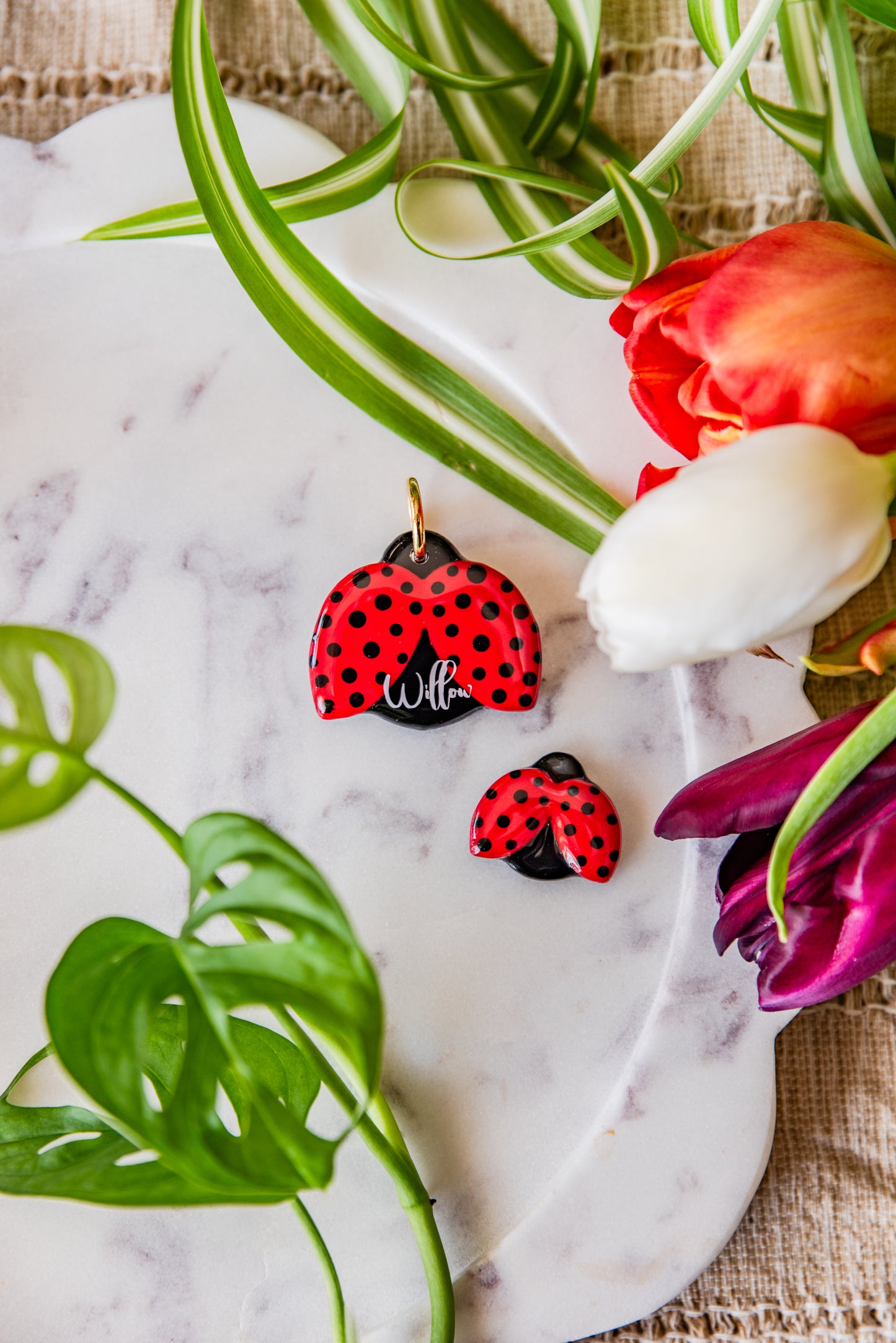 Ladybug