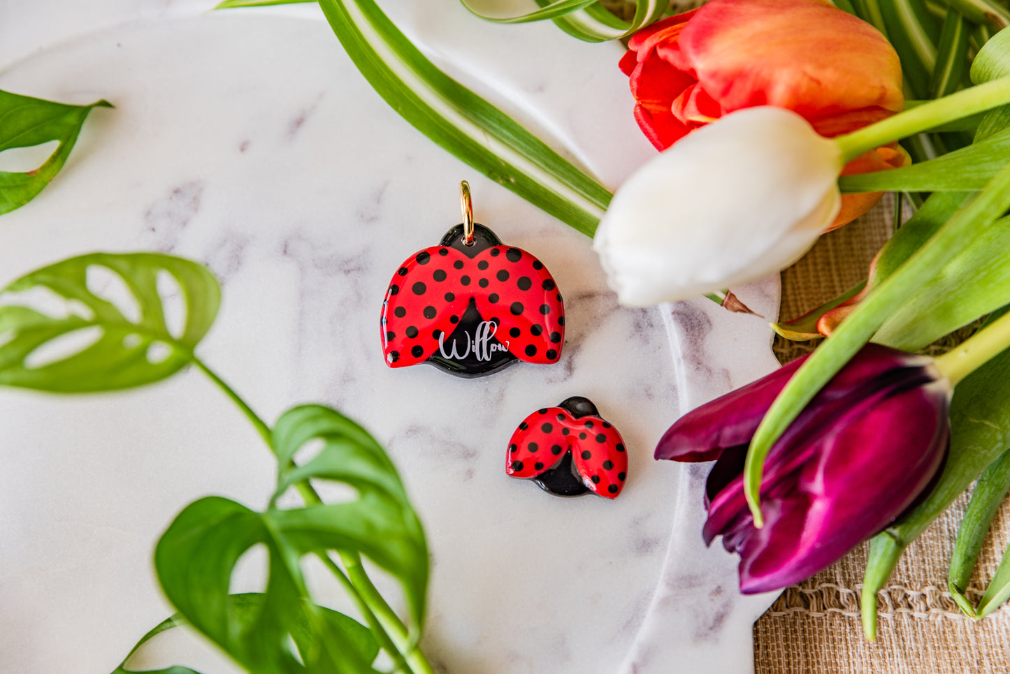 Ladybug