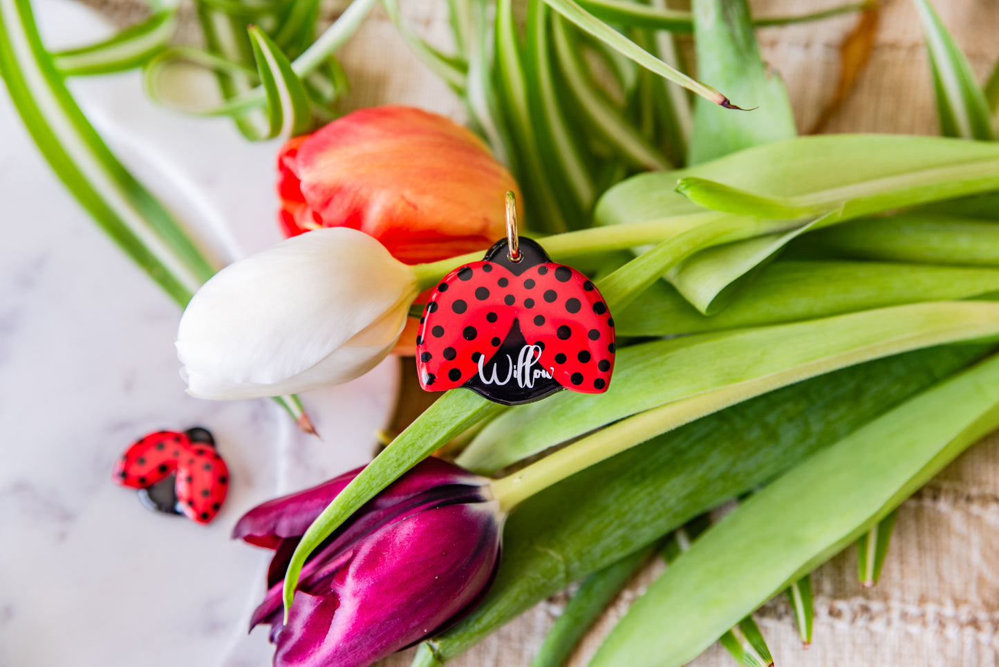 Ladybug