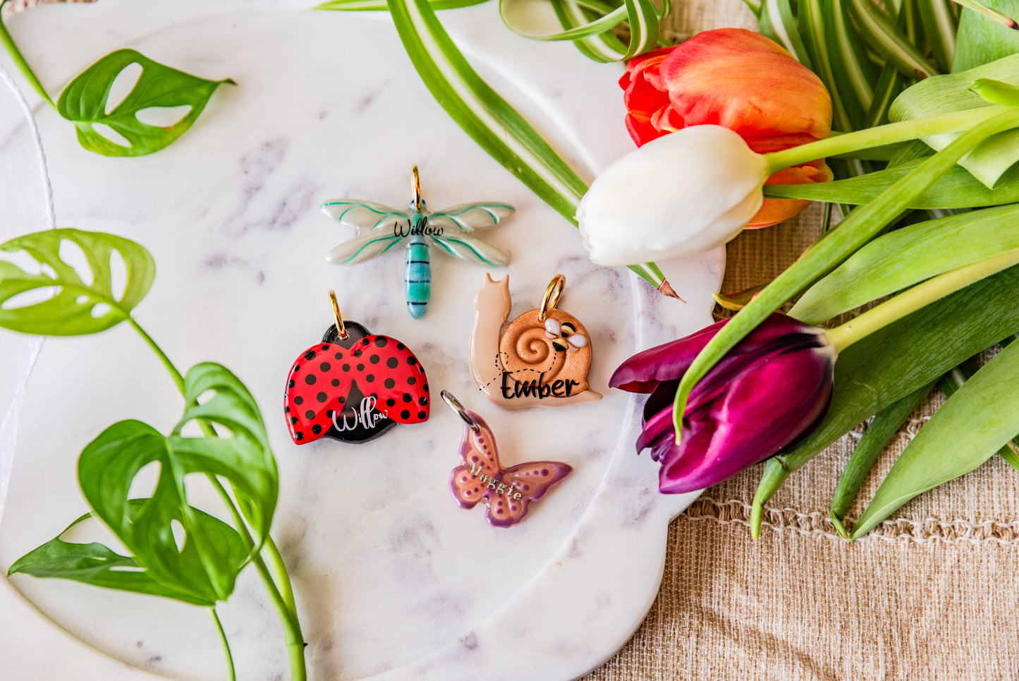 Ladybug