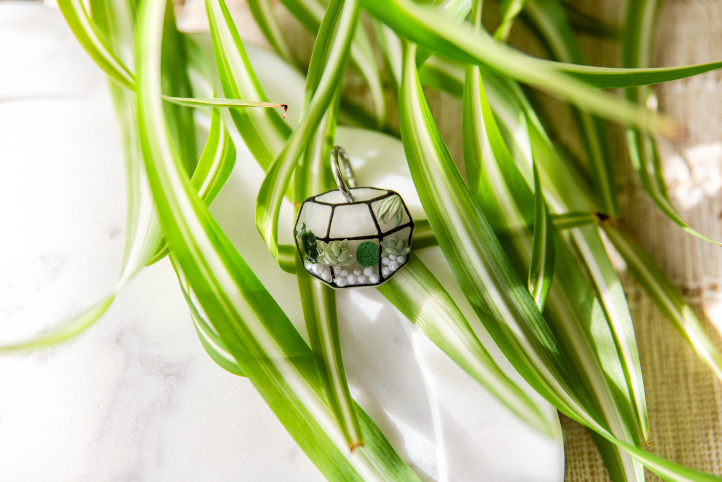 Terrarium