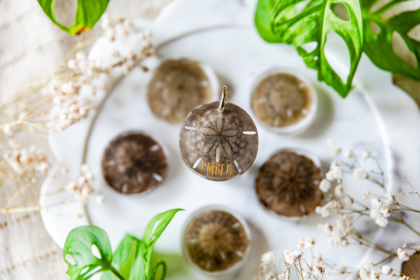 Preserved Unbleached Sand Dollars
