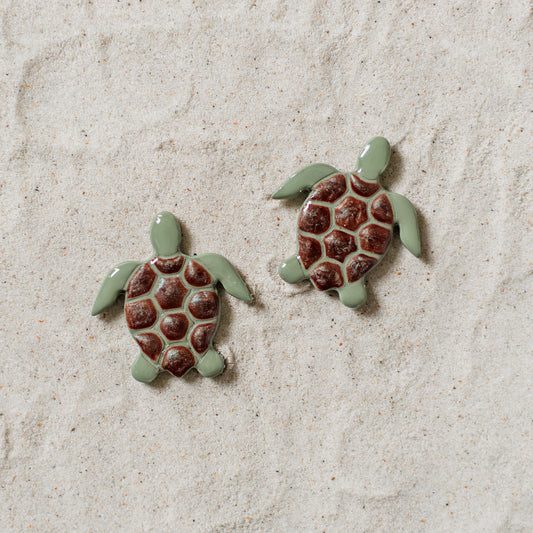 Sea Turtle