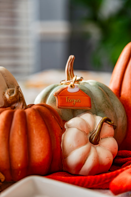 Punkin Pie