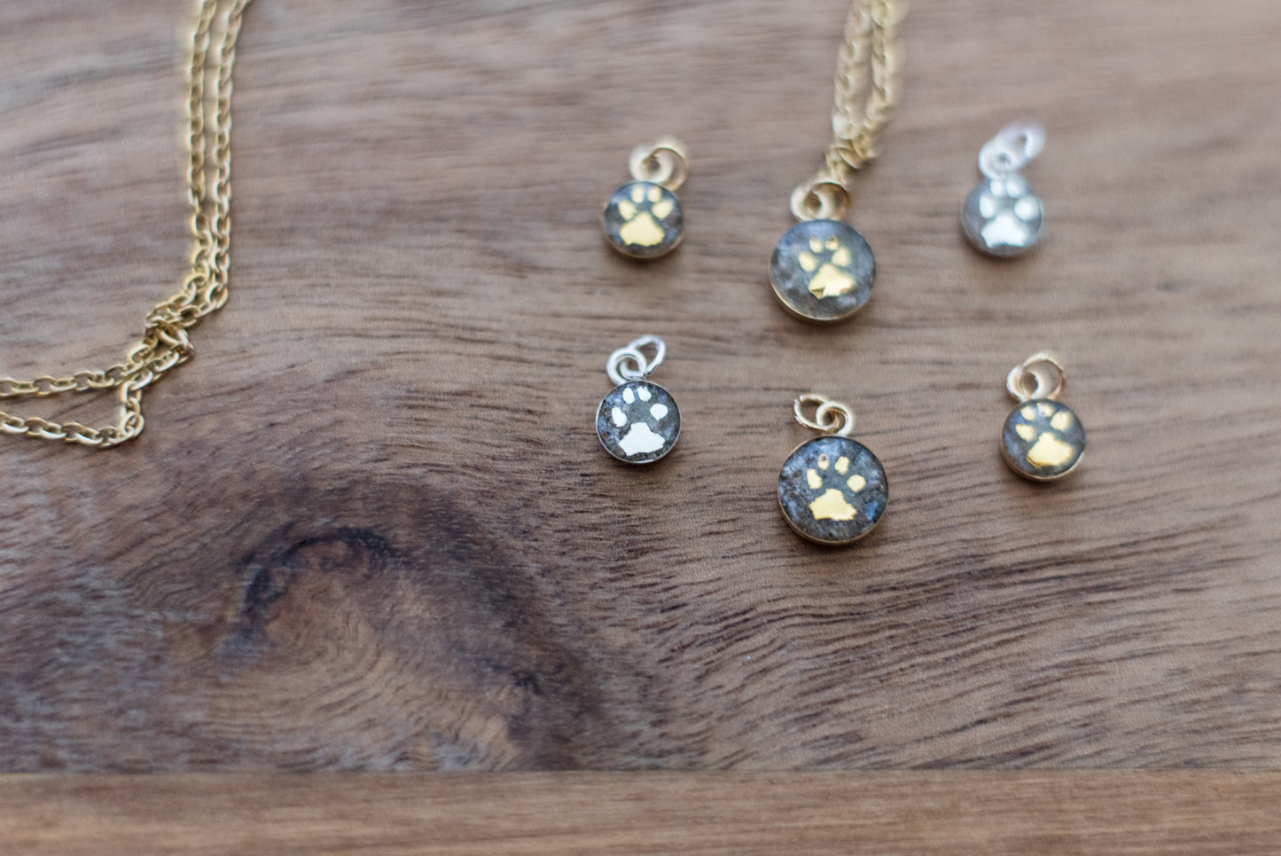 Custom Paw Print Memorial Necklace