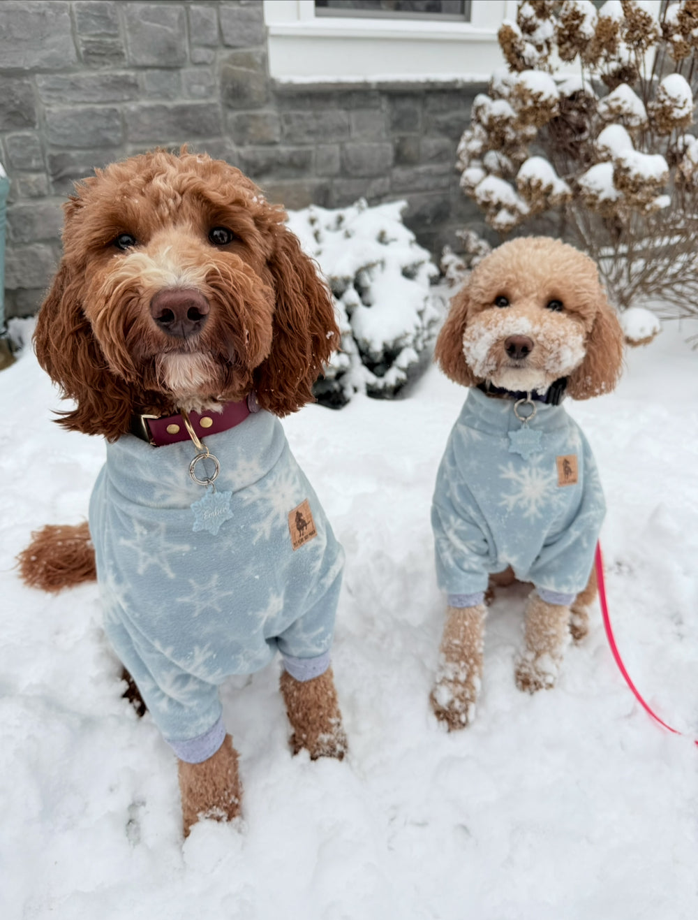 Two dogs in snow-covered outfits standing in the snow.