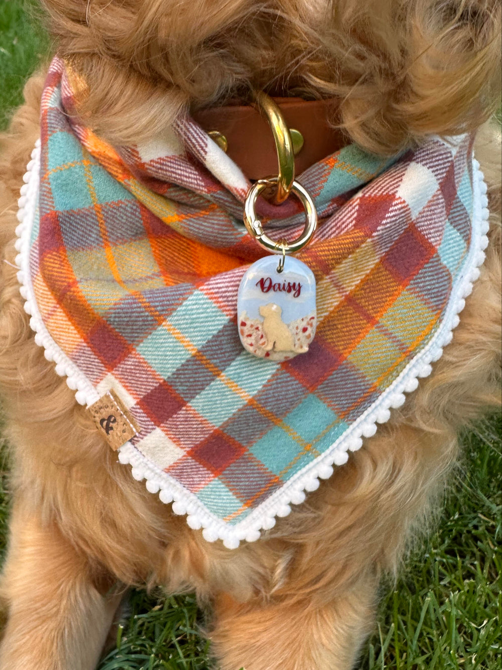 Dog wearing a plaid bandana with a name tag on a grassy background